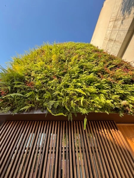 casa ecológica autossuficiente