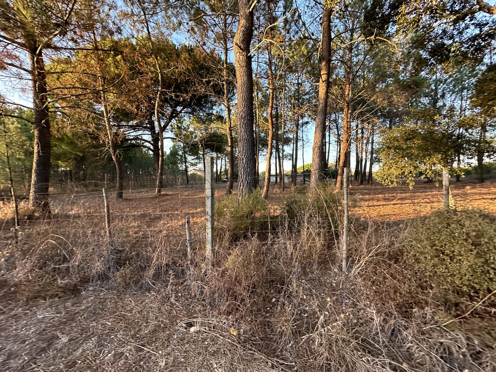 lei-dos-solos-reclassiificacao-solos-urbanos