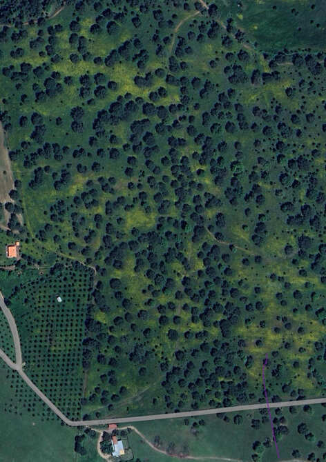 Revisão da Lei dos Solos 2025