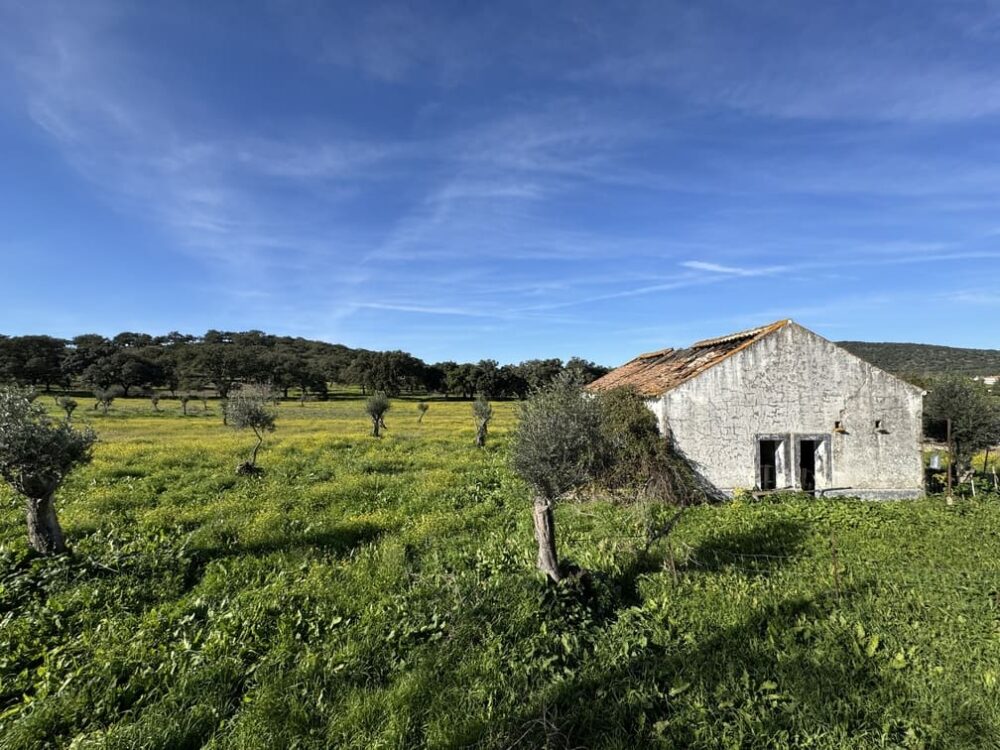 Legalização de Construções Existentes