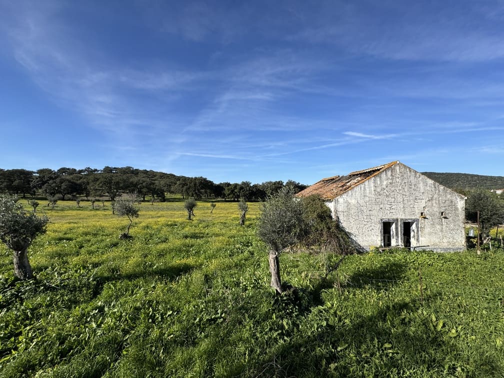 Legalização de Construções Existentes