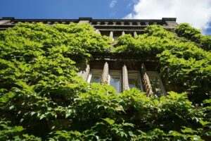 Descarbonização da Arquitetura