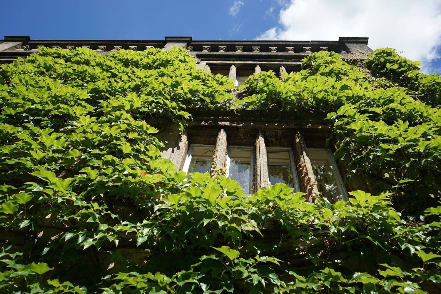 Descarbonização da Arquitetura