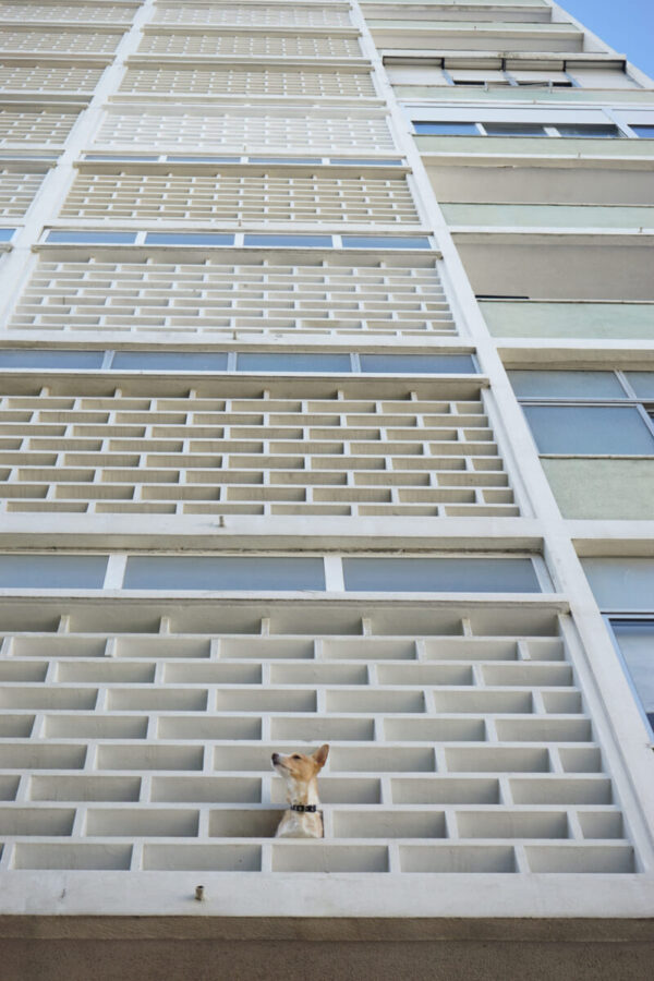 Reabilitar edifício antigo com mais de 30 anos